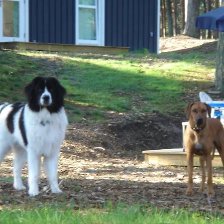 Dom wakacyjny Haus Landseer - Baabe